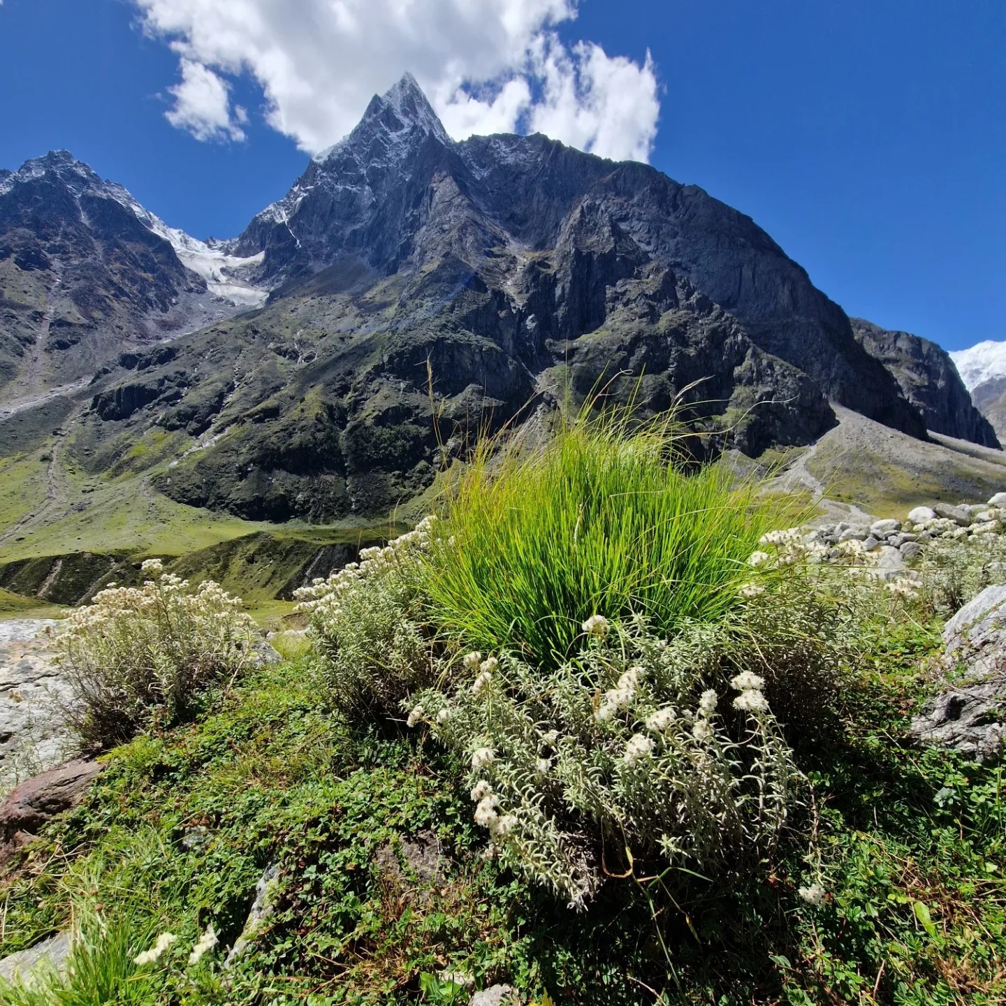 460446069 547542997833289 1579845062975421852 n