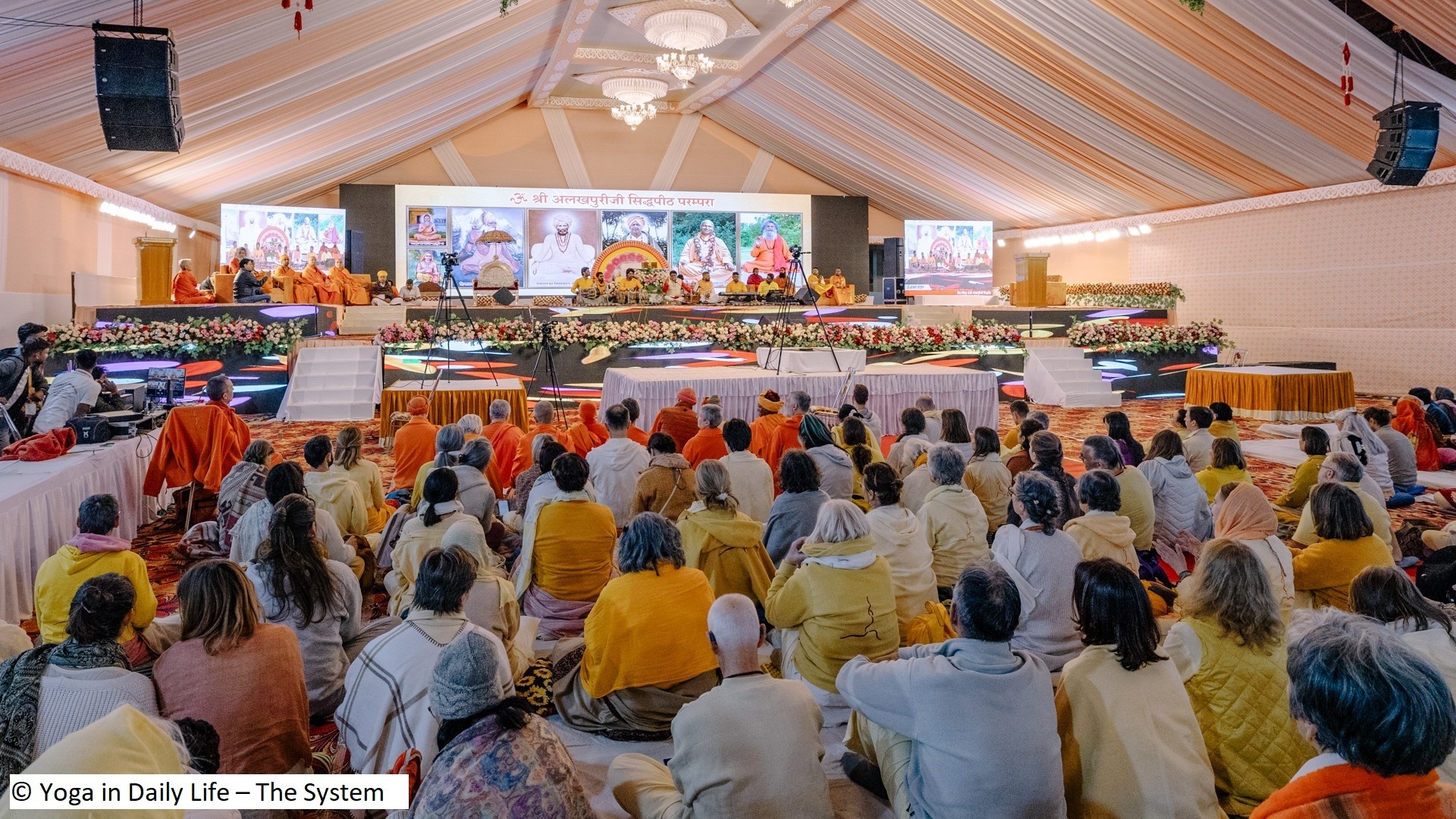 20240211 Jadan IMG 4944 web