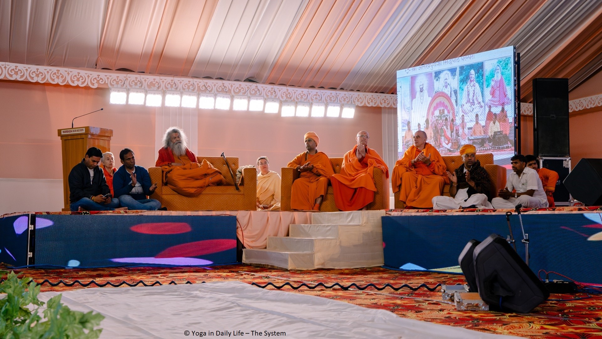 20240211 Jadan IMG 4949 web