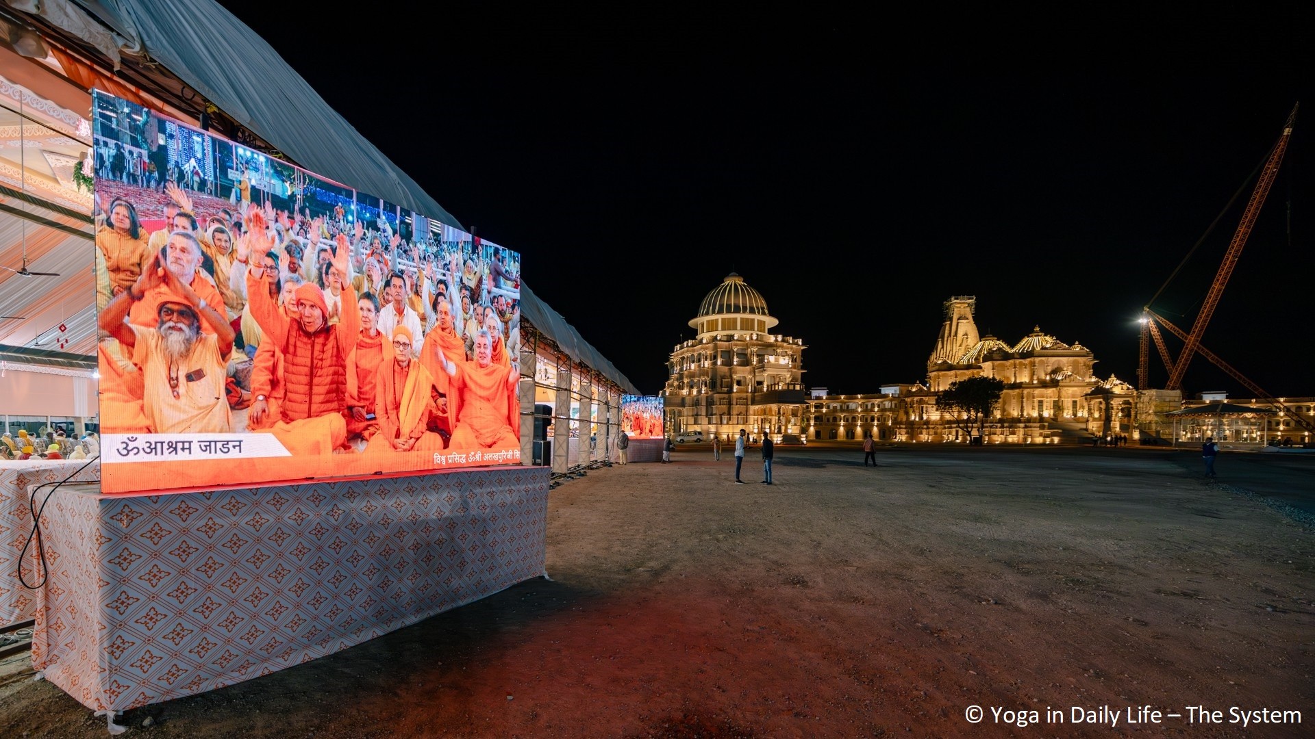 20240211 Jadan IMG 4998 web