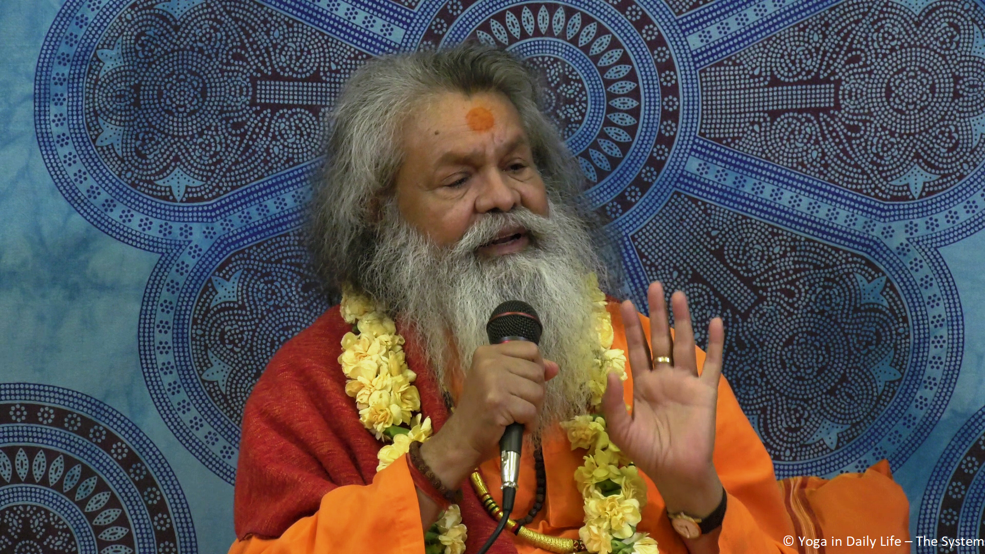 2024 04 12 darshan bp 62