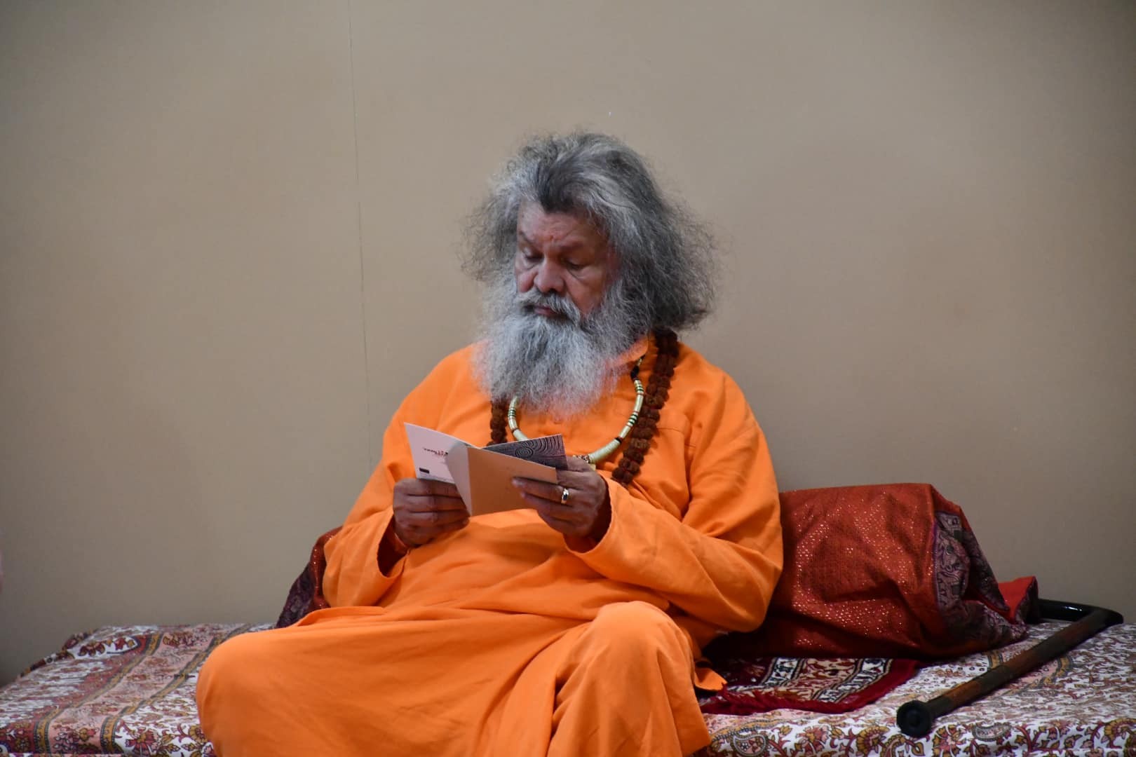 474331974 2409870339372596 3767229122095580163 n