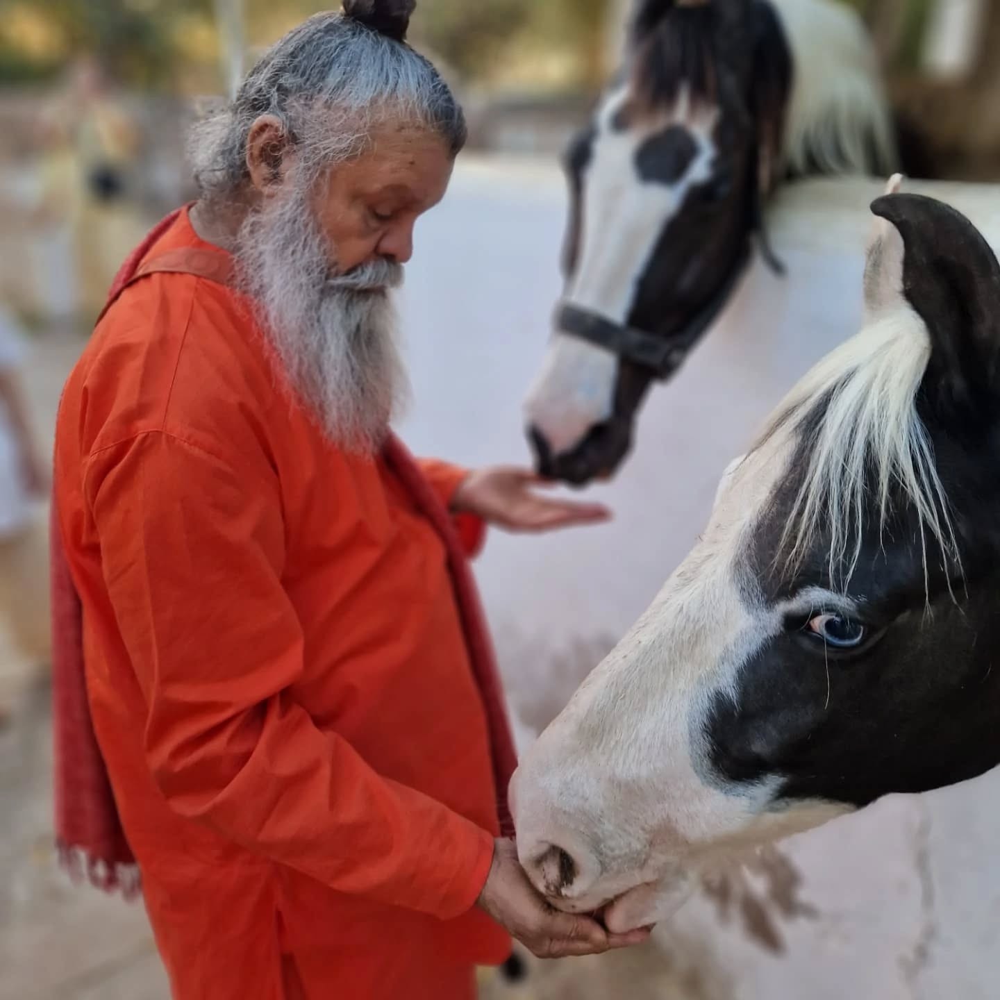 Ashrams in India – March and April 2025