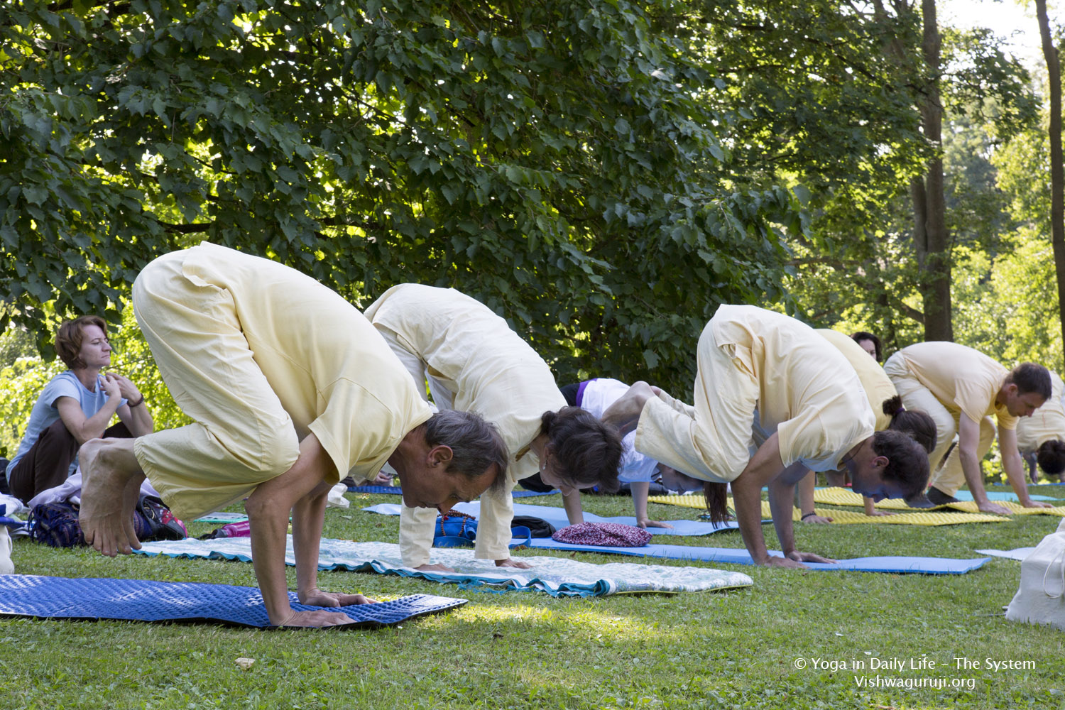 1U4A9187 14 8 2016 afternoon asanas