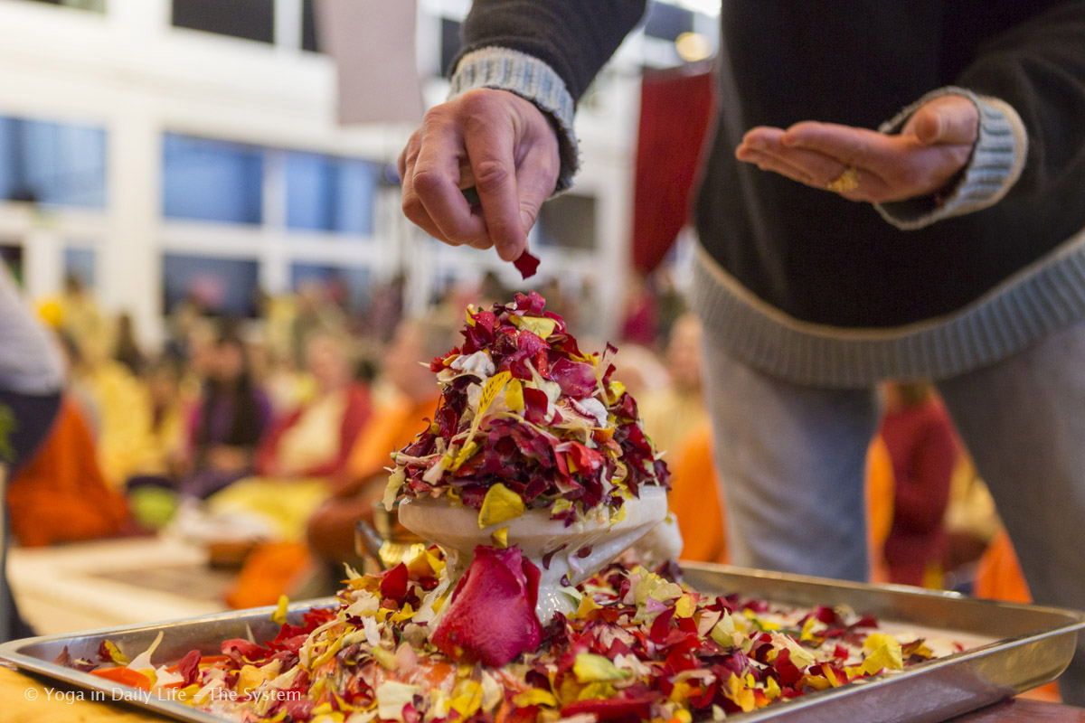 1U4A9686 Vep 18 Feb 2017