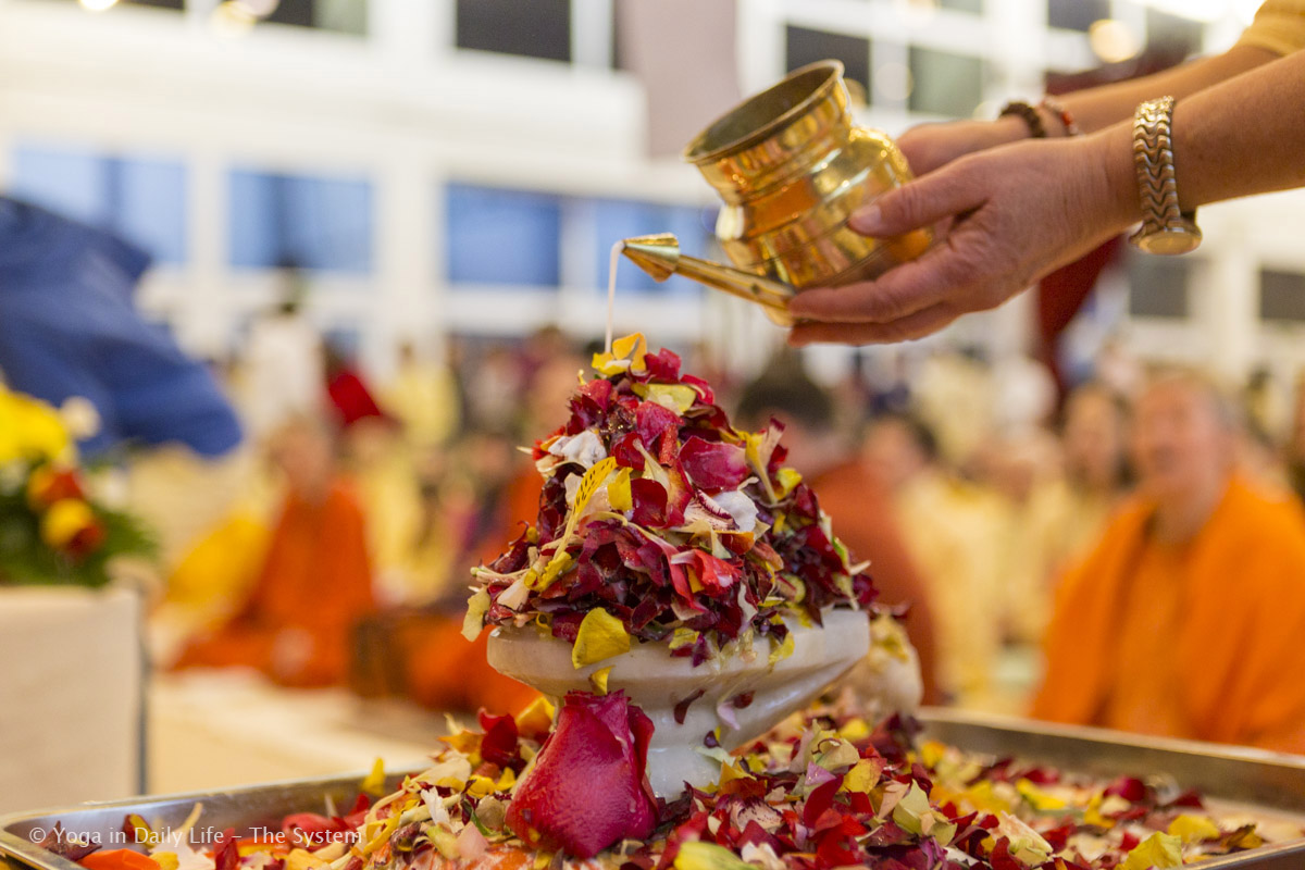 1U4A9687 Vep 18 Feb 2017