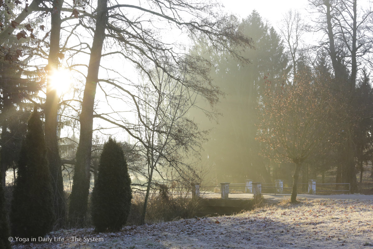 1U4A9812 Vep 19 Feb 2017