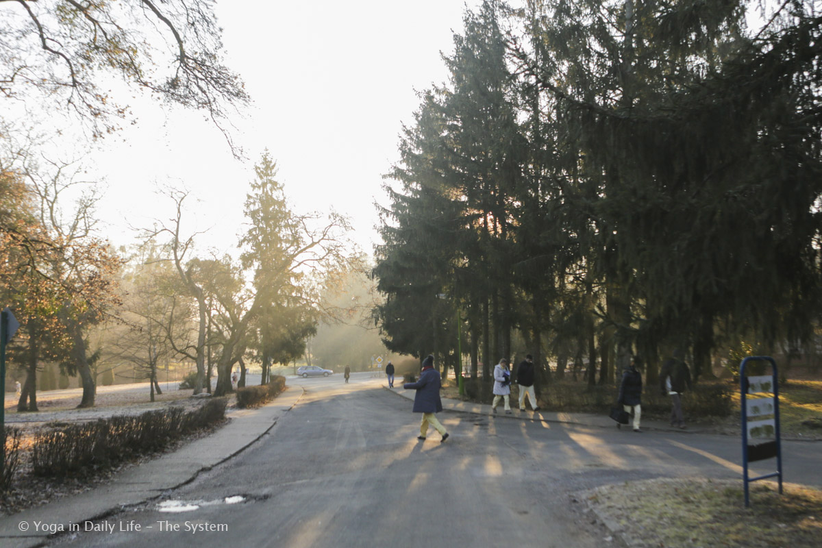 1U4A9819 Vep 19 Feb 2017