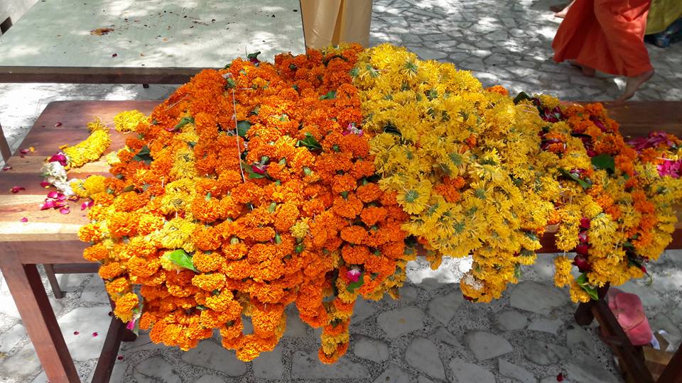 19875204 1335463933176235 9140766969638109848 n