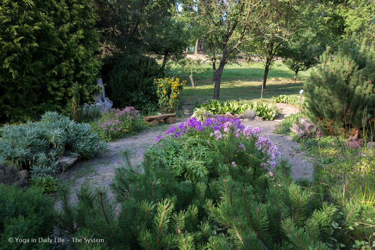 1U4A0461 E 21 8 2017 garden