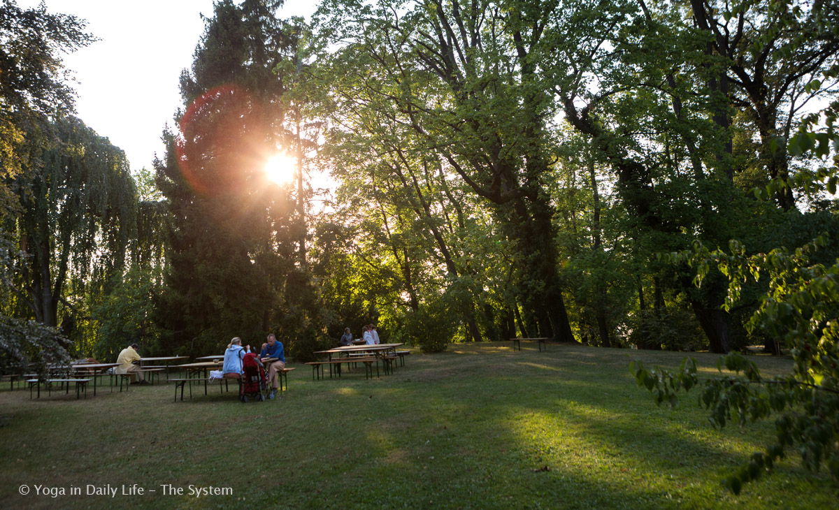 1U4A0482 E 21 8 2017 garden