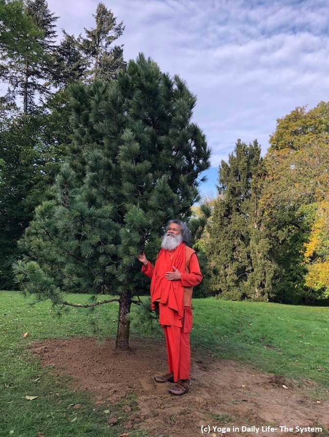 72616357 10156363656096890 5973336370909806592 n