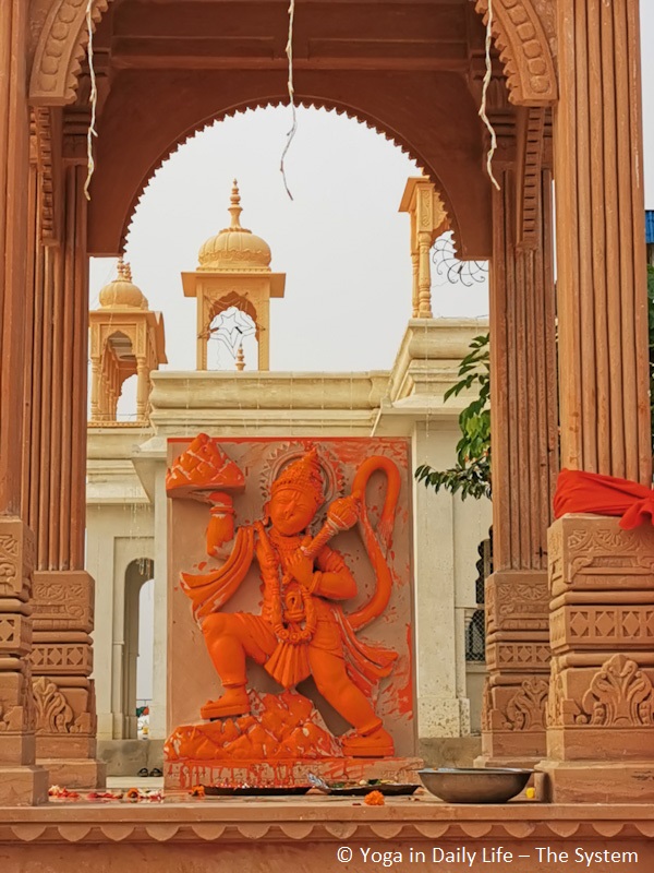 IMG 20191103 163537 100