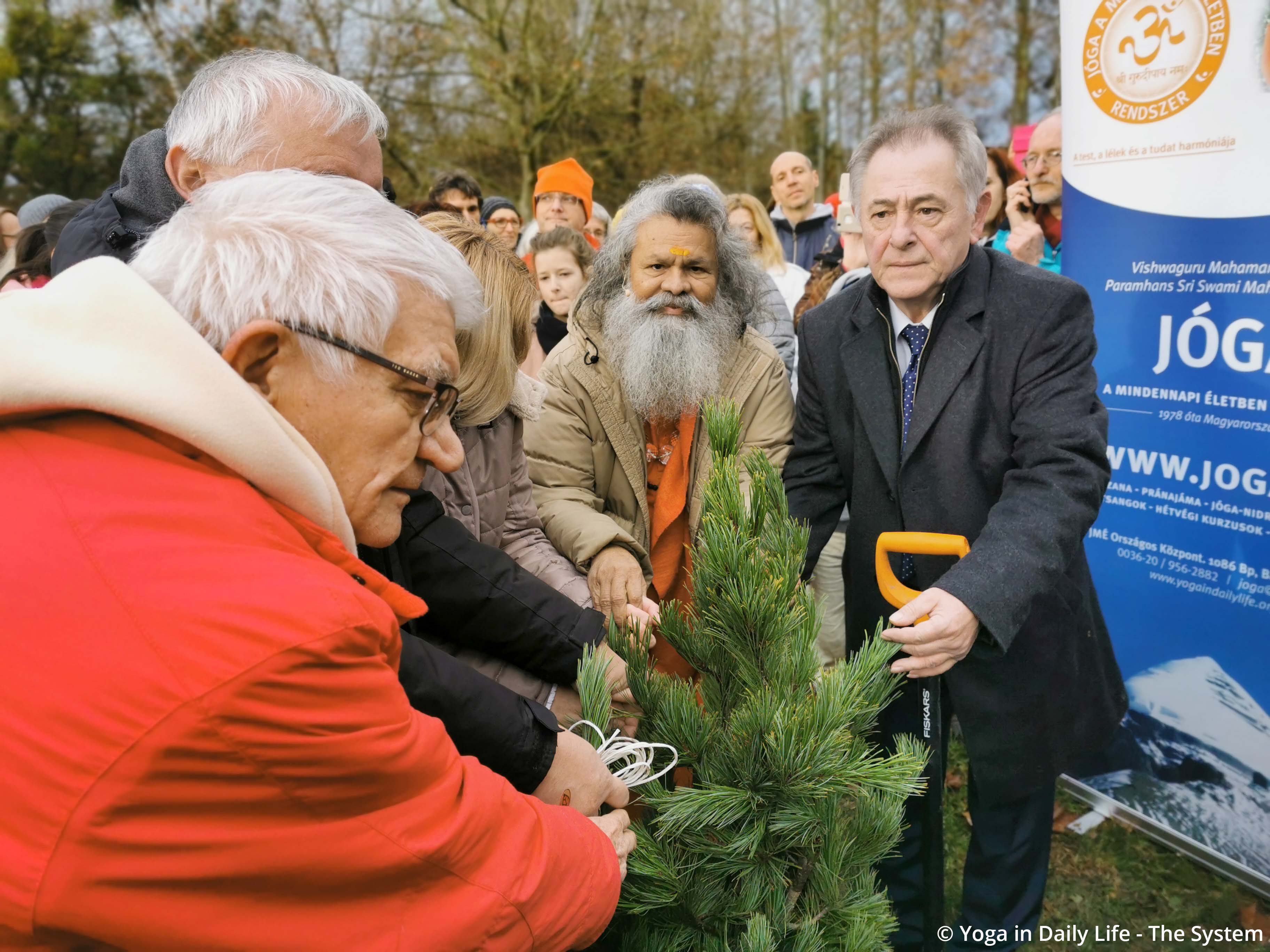 4. College Peace Tree planting 4