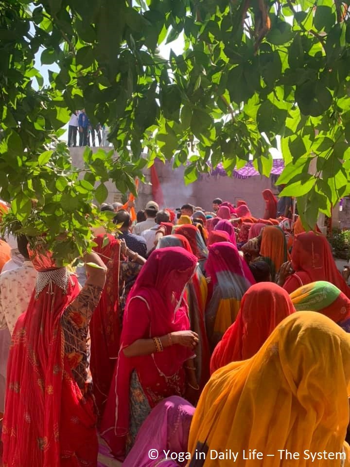 253656439 2999572206972209 6970605763026453039 n